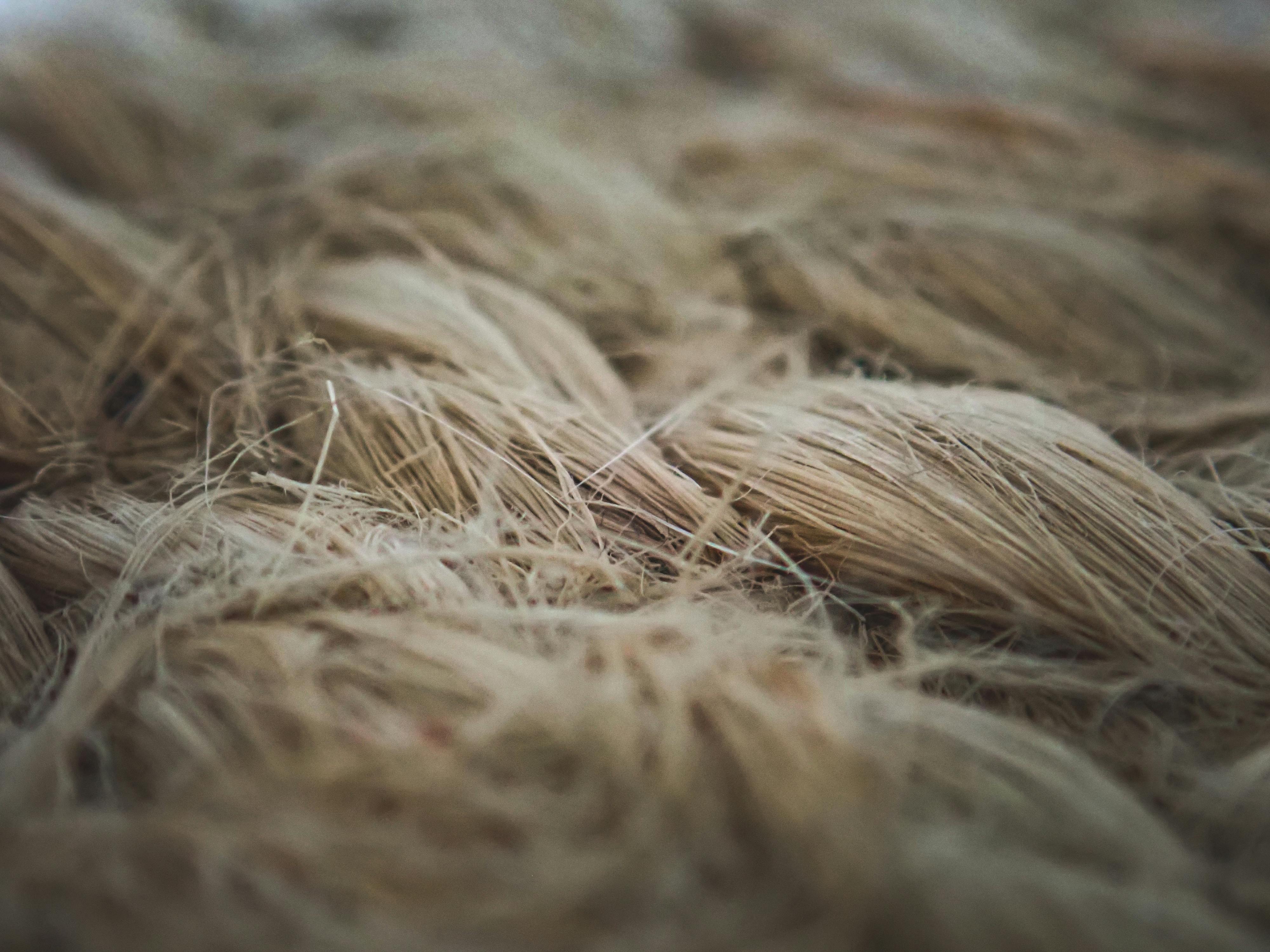 LINEN: THE FABRIC OF THE FUTURE